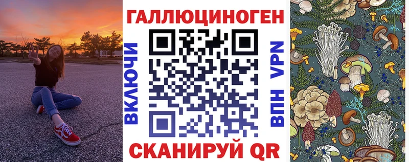 Псилоцибиновые грибы Cubensis Сосенский