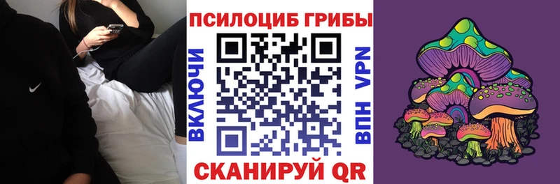 что такое   omg маркетплейс  Псилоцибиновые грибы Psilocybine cubensis  Сосенский 