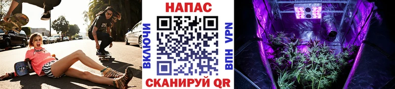 Шишки марихуана SATIVA & INDICA  купить  сайты  kraken маркетплейс  Сосенский 